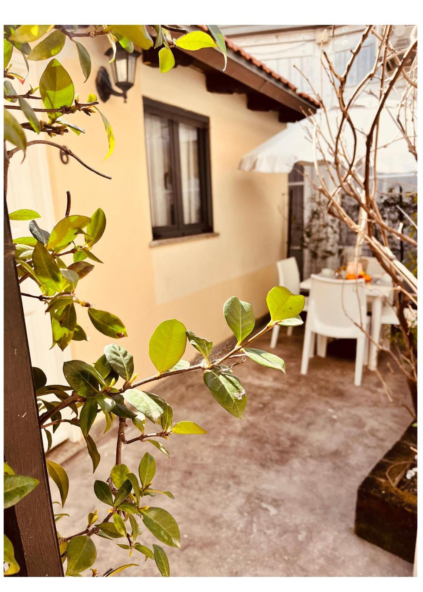 Hotel La Torraccia Tarquinia Dış mekan fotoğraf